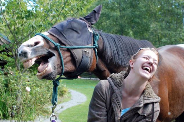 And so I said, why the long face?: The girl in this photo appears to be sharing a joke with the horse 