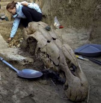 Thracian tomb has carriage and upright horses