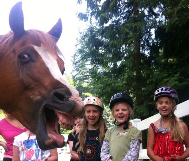 Smile: This group of girls weren't expecting to be upstaged by a slightly manic looking horse