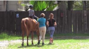 Equine Therapy 