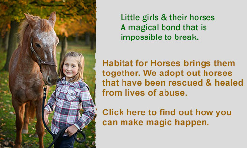 support habitat for horses