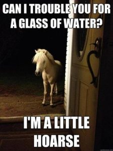 funny horse meme