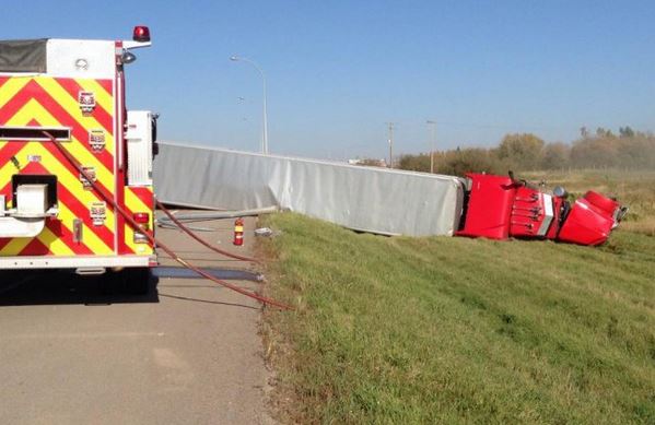 Overturned truck was headed to slaughter house