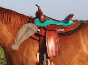 saddle