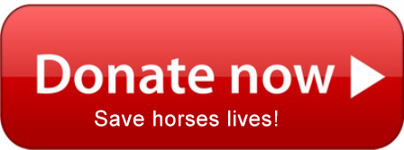 Donate-button-Red